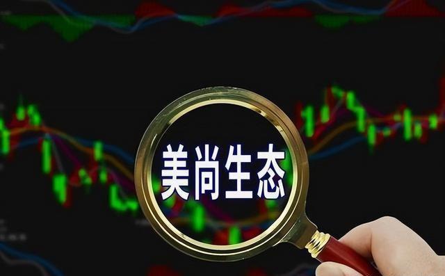 专业股票中的温情日常