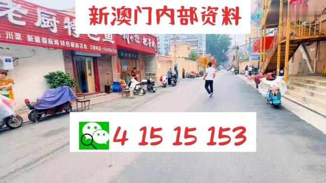 2024澳门天天开好彩大全162,深究数据应用策略_内容版41.838