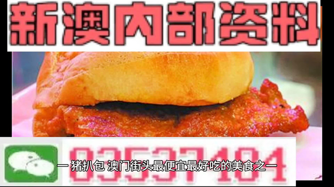 ＂2024澳门最精准正版免费大全＂的：专业解读方案实施_原汁原味版4.69