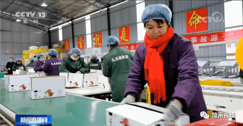 礼县贴吧资讯，地方新闻与文化探索的窗口