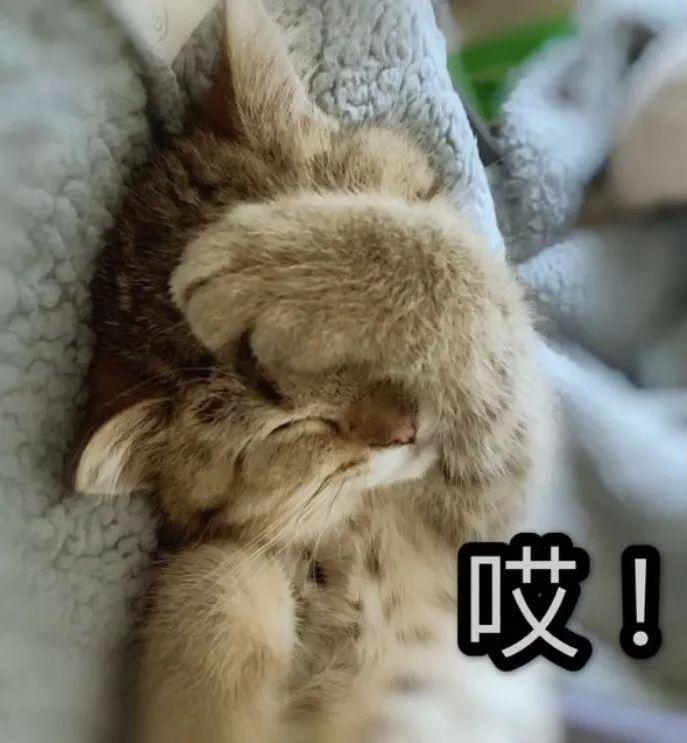 第500页